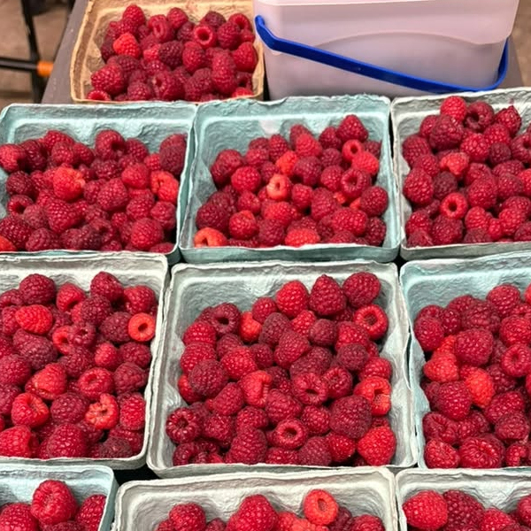 Krieger's Farm & Orchard LLC